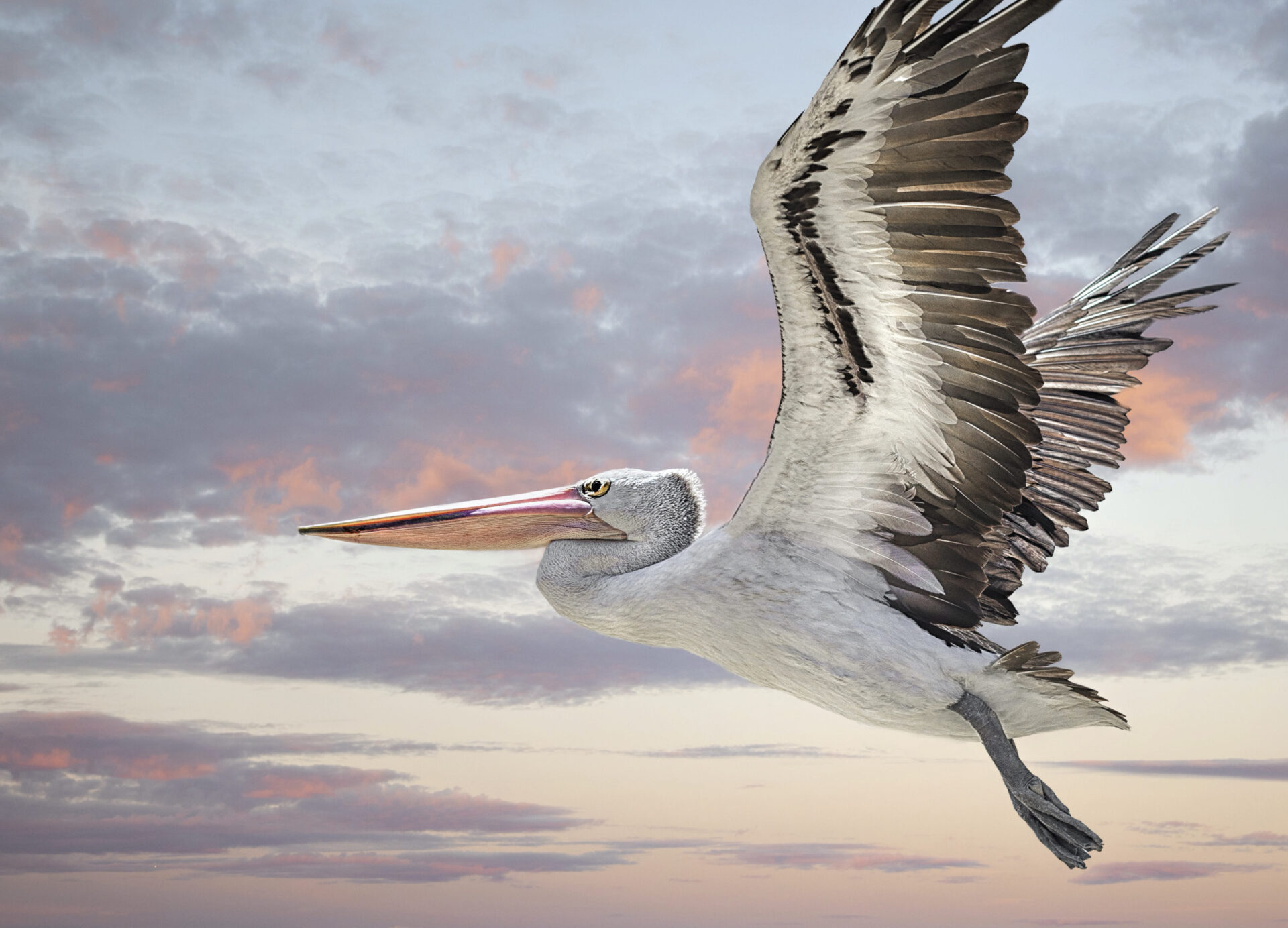 pelican-rentals-hilton-head-vacation-rental